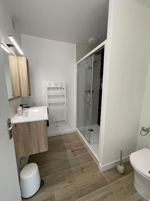 Appartement Proche Stade/Eurexpo Décines-Charpieu Eksteriør billede