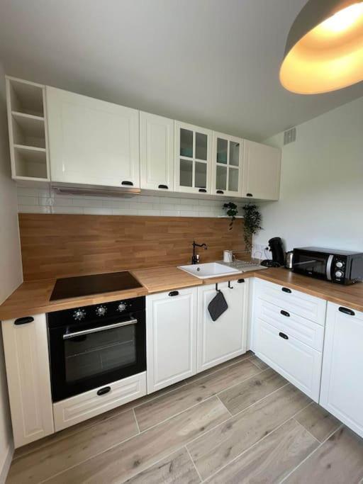 Appartement Proche Stade/Eurexpo Décines-Charpieu Eksteriør billede